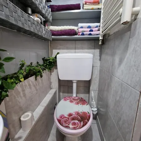 Apartment Ultracentral 2 Piata Muzeului