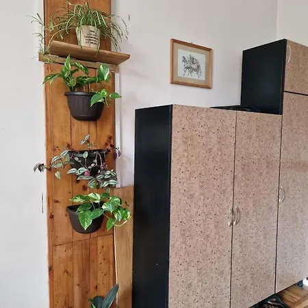 Apartment Ultracentral 2 Piata Muzeului