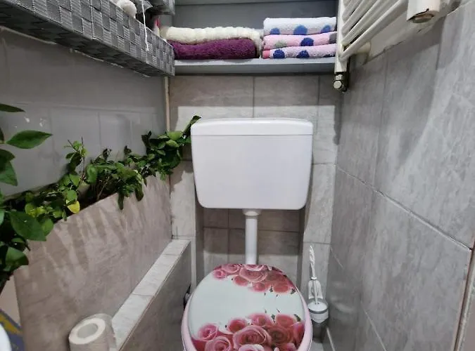 Daire Ultracentral 2 Piata Muzeului