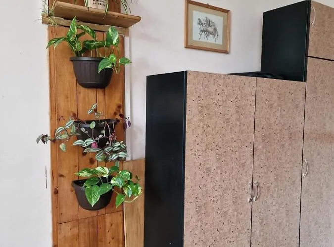 Apartamento Ultracentral 2 Piata Muzeului